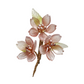 Someiyoshino sakura blooming bouquet brooch in antique pink