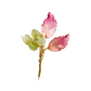 Forever green lily bud mini brooch