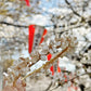 Ueno Sakura Collection: sakura wedding tiara