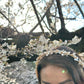 Ueno Sakura Collection: sakura wedding tiara